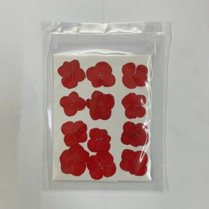 Red Colour Pressed Flower Sheet